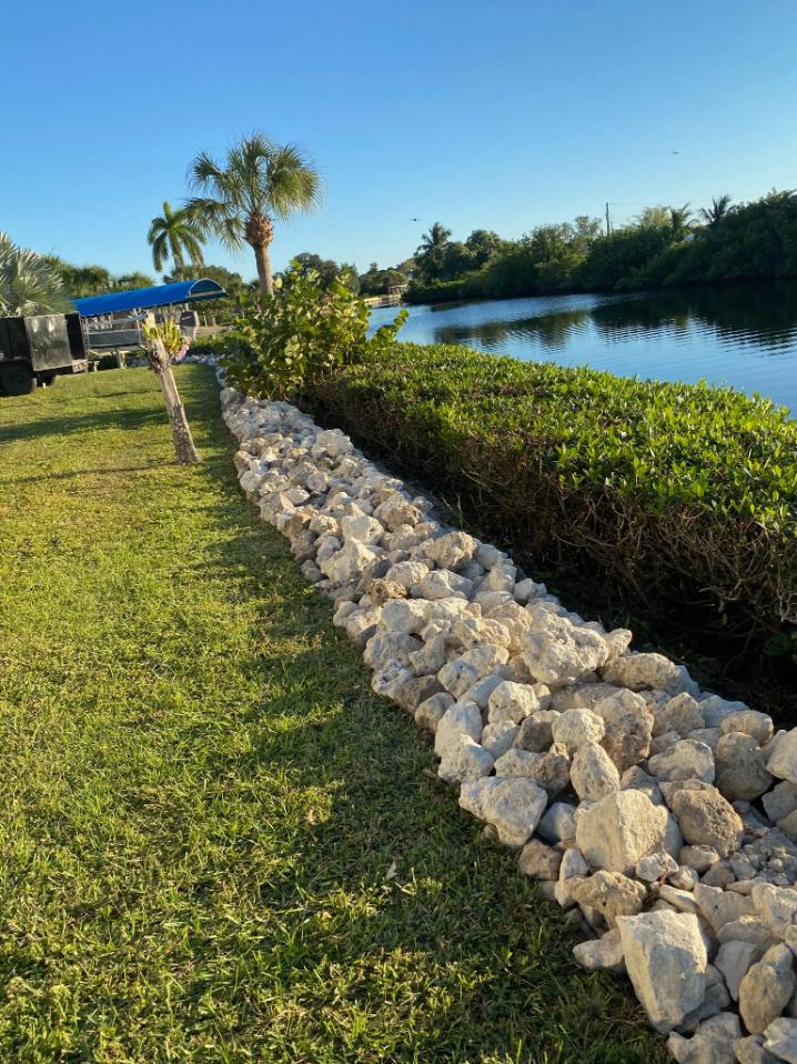 Mangrove-Pruning-Florida