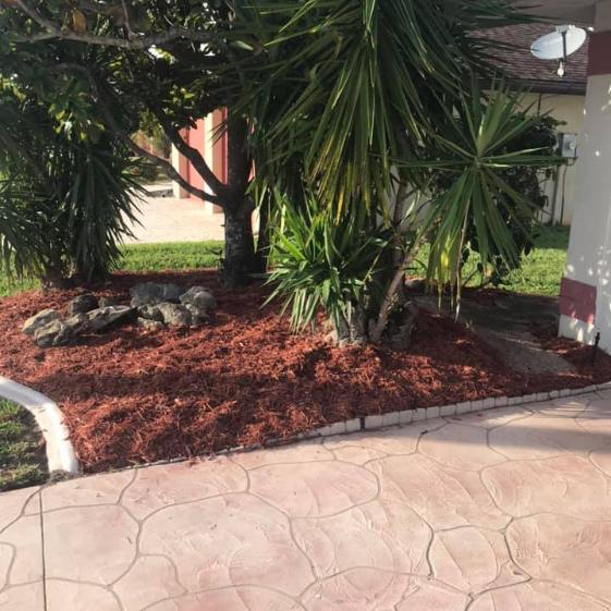 Mulching-port-charlotte-Florida-Yards